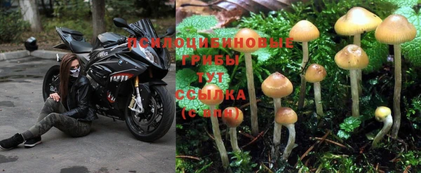 apvp Алексеевка