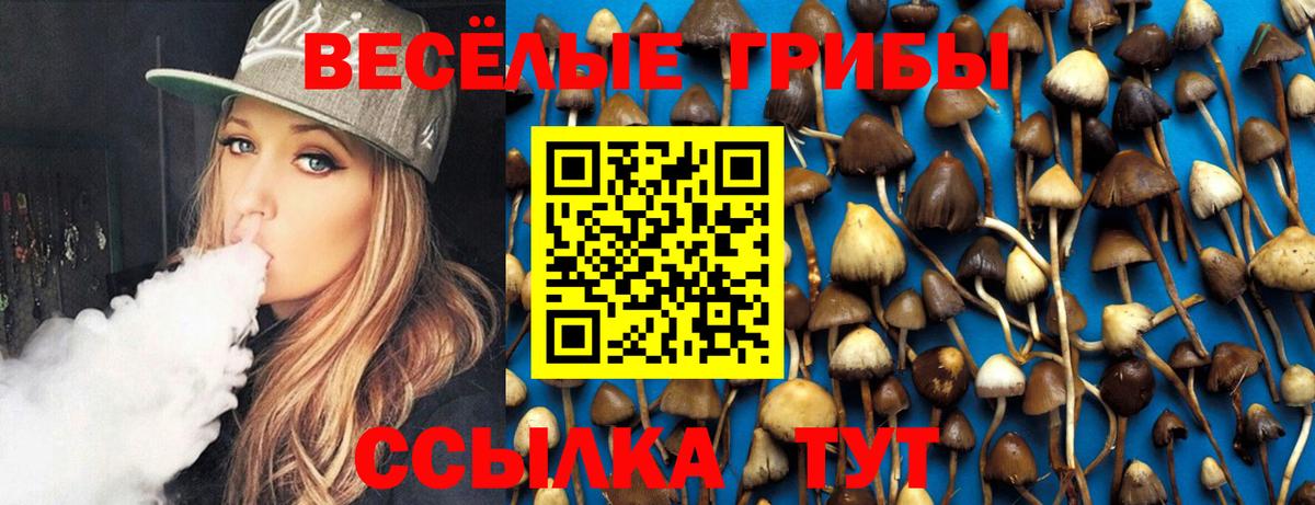 Псилоцибиновые грибы Magic Shrooms Ковров