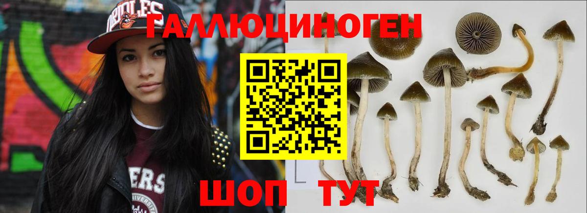 Галлюциногенные грибы мицелий  Вход с VPN  Ковров 